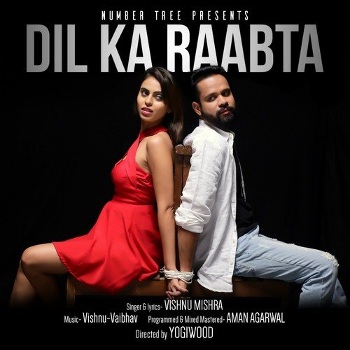 Dil Ka Raabta - Vishnu Mishra