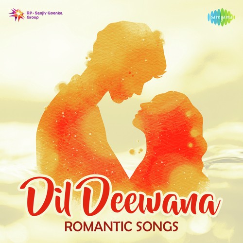 Mere Dil Mein Tu Hi Tu Hai (FromBhavna) - Various Artists