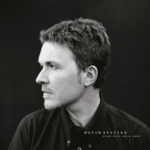 Praise (Pratah Smarami) - David Sylvian