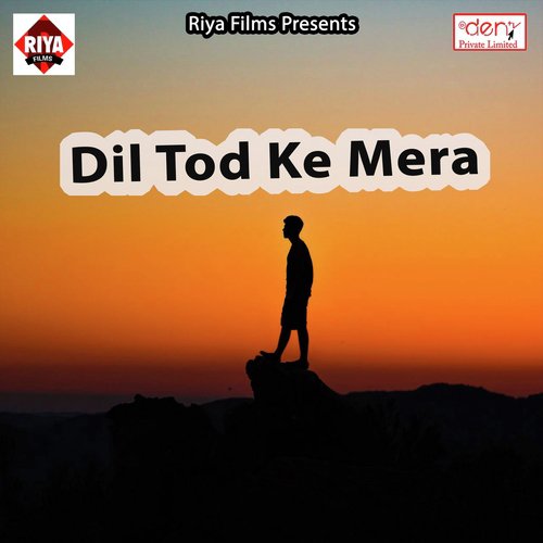Dil Tod Ke Gailu Sanam - Various Artists