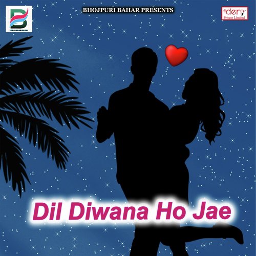 Dil Diwana Ho Jae - Various Artists