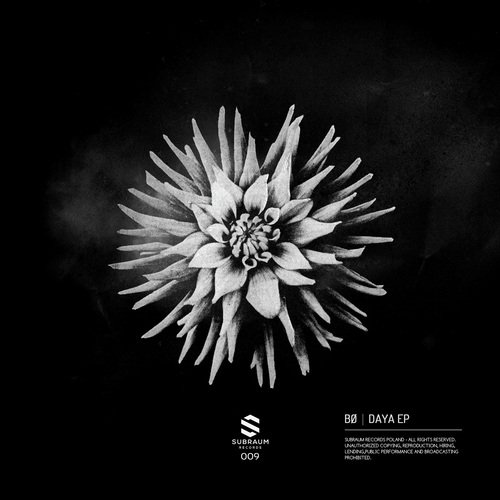 Daya (Concept Of Thrill Remix) - B