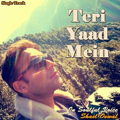 Teri Yaad Mein - Shael Oswal