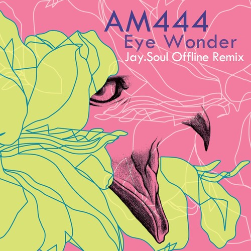 Eye Wonder (Jay.Soul Offline Remix) - Am444