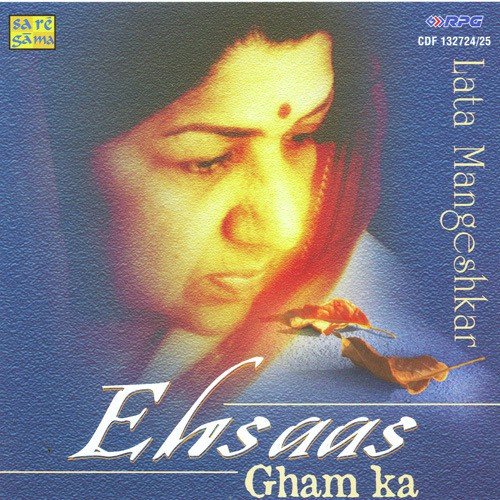 Do Dil Toote Do Dil Haare - Various Artists