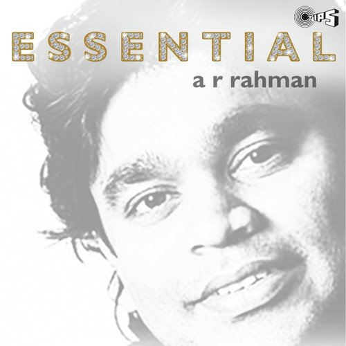 Rangeela Re (Rangeela) - Various Artists