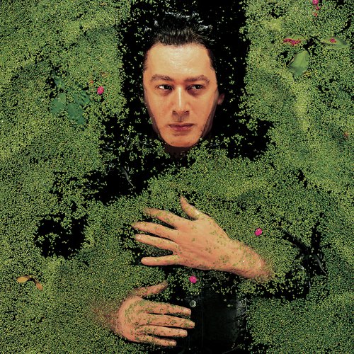 Mes prisons - Alain Bashung