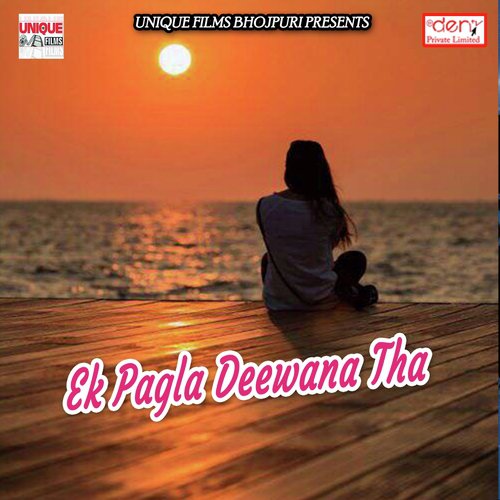 Na Sajanwa Aile Ho - Various Artists