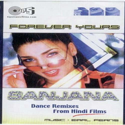 Dilruba Dil Mein Tu - Various Artists