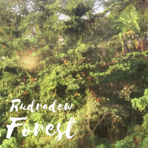 Forest - Rudradew