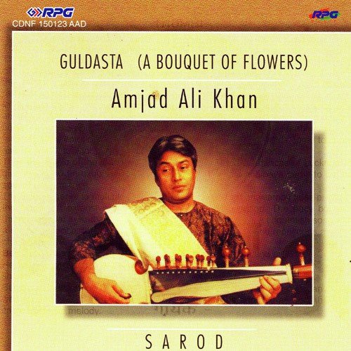 I Feel Your Preference Hansa Dhvani Ustad Amjad Ali Khan - Amjad Ali Khan
