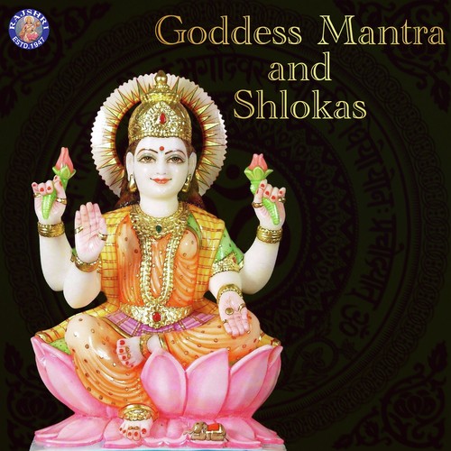 Jai Ambe Gauri - Various Artists