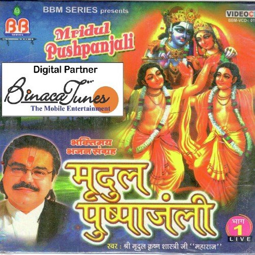 Mujhe Charno Se Laga Le Shyaam - Ila Paliwal