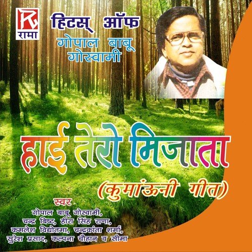 Hai Tero Mijata - Various Artists