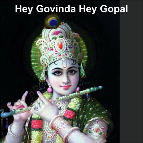Hey Govind Hey Gopal - Anup Jalota