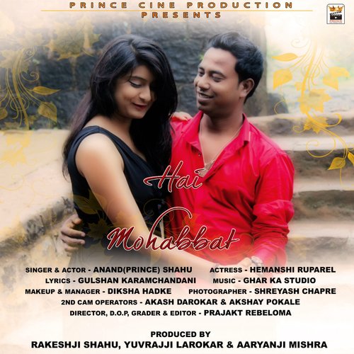Hai Mohabbat - Anand Shahu
