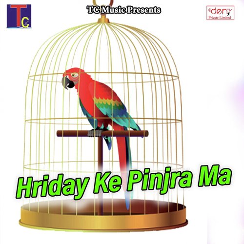 Maya Ke Chinhari - Various Artists