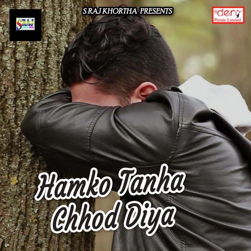 Hamko Tanha Chhod Diya - Various Artists