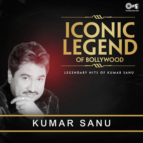 Chum Loon Honth (From Shreemaan Aashique) - Nadeem-Shravan, Anu Malik