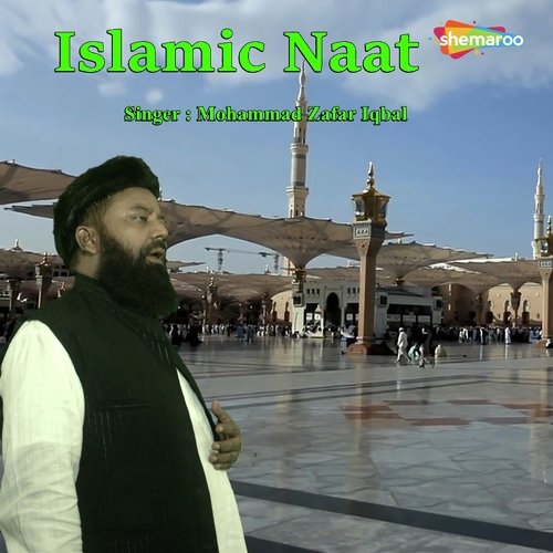 Rahi Umr Bhar - Mohammad Zafar Iqbal