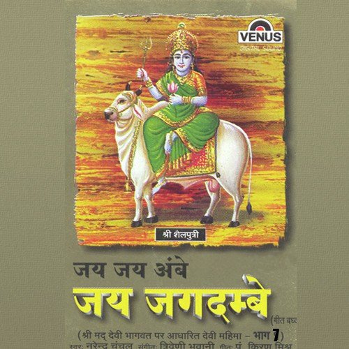 Mahalaxmi Ka Praktay Siddh Peetha Avam Shaktiya Ki Naamavali Barah Avtar Ki Katha - B - Narendra Chanchal, Triveni, Bhavani