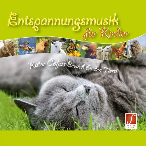 Tanz der Libellen am Bergsee (Mit Geschichten Erzhler) - Santec Music Orchestra