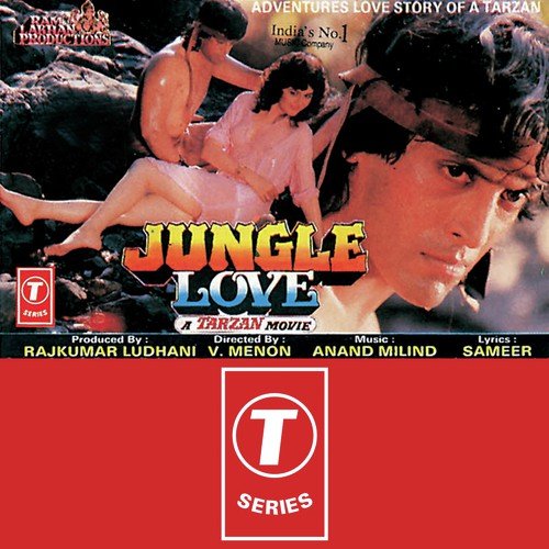 Hum To The Anjaane - Anand-Milind