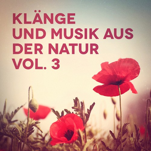 Dance in the Meadow - Verschiedene Interpreten