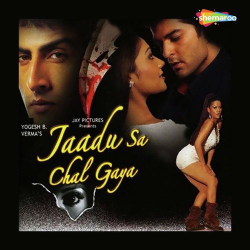 Jaadu Sa Chal Gaya - Nikhil-Vinay