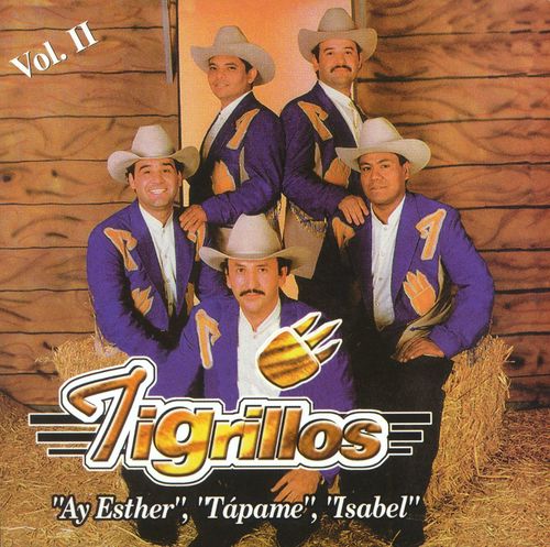 Ay Esther - Los Tigrillos