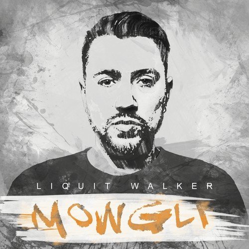Lichtermeer - Liquit Walker