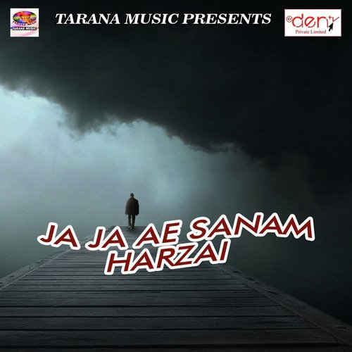 Ye Saiya Dhali Kora Me - Various Artists