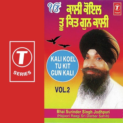 Kali Koel Tu Kit Gun Kali - Bhai Surinder Singh Ji (Jodhpuri)