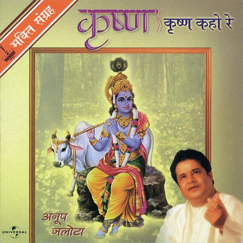 Saare Brij Mein (Album Version) - Anup Jalota