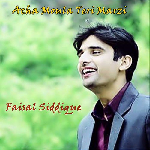 Sar Zameen E Wafa Faisal Shehreeza - Faisal Siddique