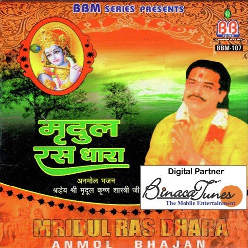 Banke Bihari Ji Ki Aarti - Sanjay Giri