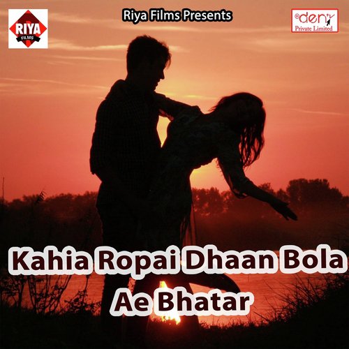 Baadh Me Daha Gaile Gauwa Nagariya - Various Artists