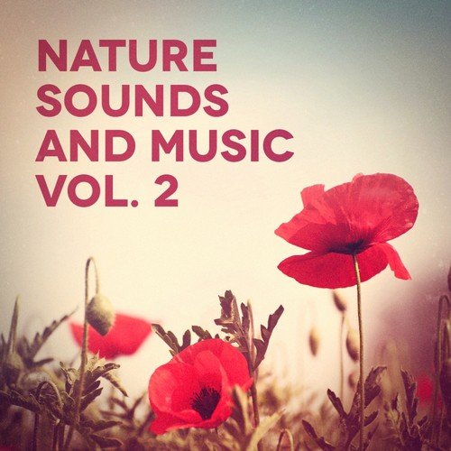 Sounds from a Field Larks and Crickets - Nature Sounds Meditation