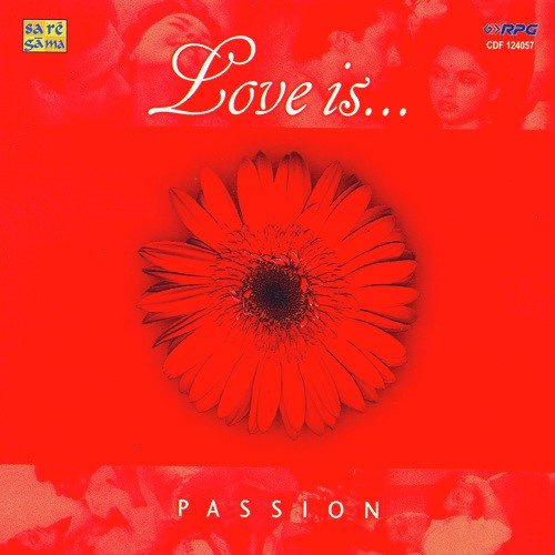 Chura Liya Hai Tumne Jo Dil Ko - Various Artists