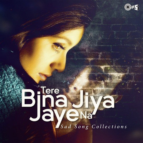 Nahin Jeena Yaar Bina (From Chaahat) - Subhi