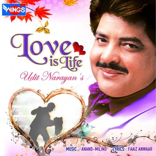 Tum To Ho Chandani Si - Udit Narayan