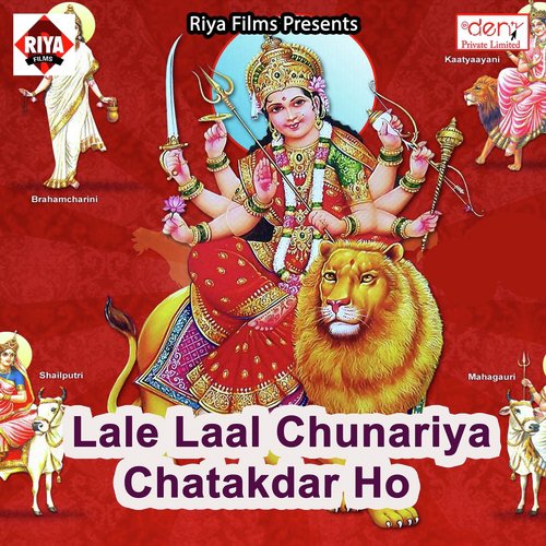Hota Pujan Maai Ke Pandal Me - Various Artists