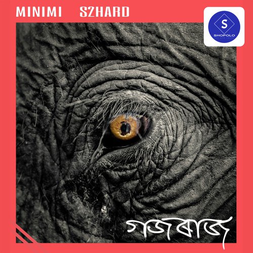 Gajaraaj - Minimi