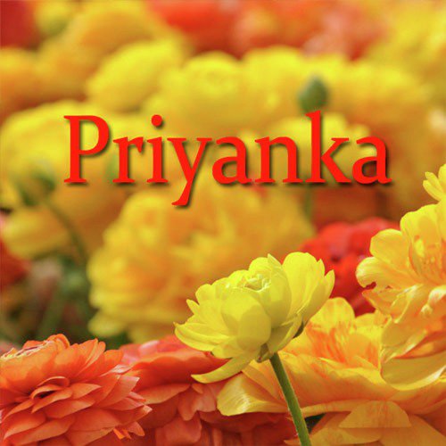 Hil Mil - Priyanka Bharali