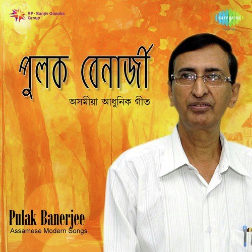 Sakhi Oi Sakhi Oi - Pulak Banerjee