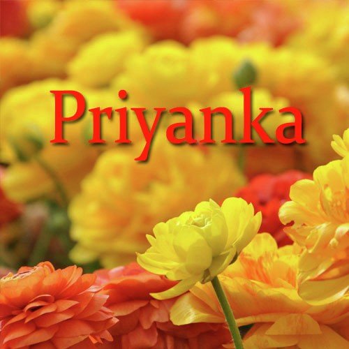 Mitha - Priyanka Bharali