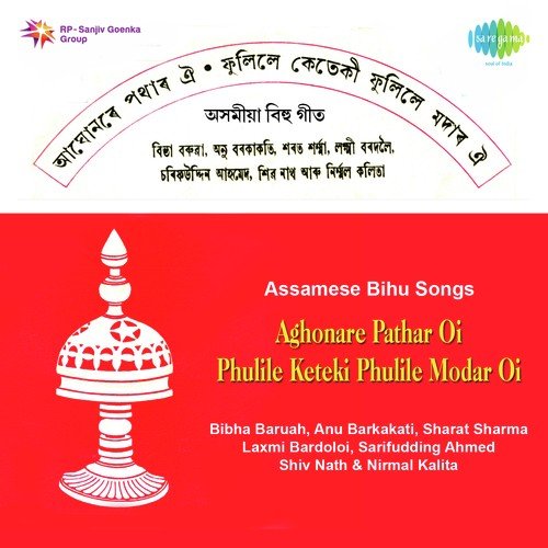 Phulile Naharar Phul - Saru Gohai