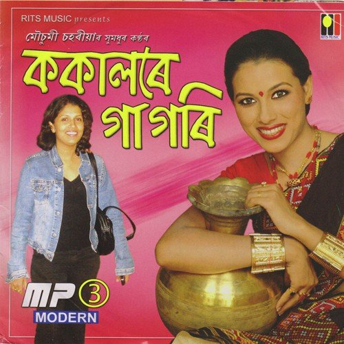 Nirob Godhuli - Various Artists