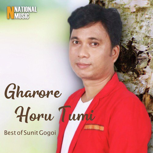 Gharore Horu Tumi - Barsha Borah, Pranab Lukhurakhan