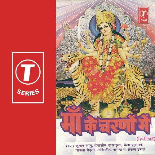 Humko Mila Kya Dwar Tumhara - Shailendra Bharti